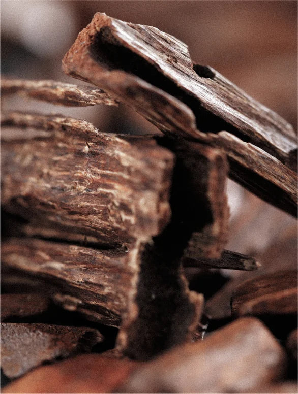 Keratin Volume Boost Conditioner