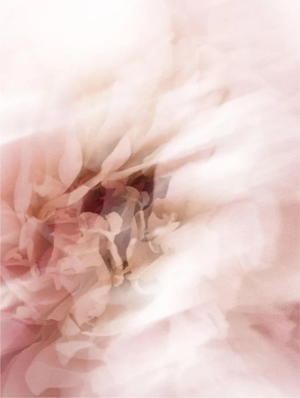 Sun Protection SPF50 Stick, with tint